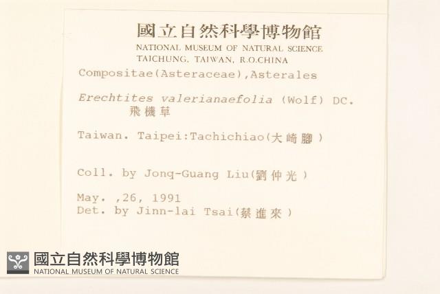 飛機草藏品圖，第2張