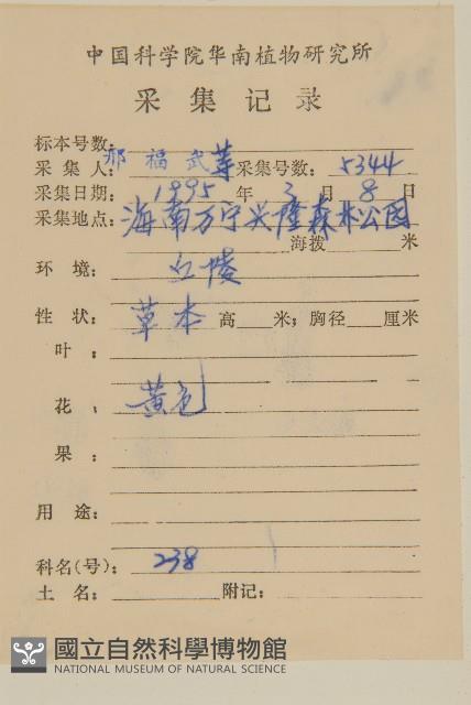 艾納香藏品圖，第2張