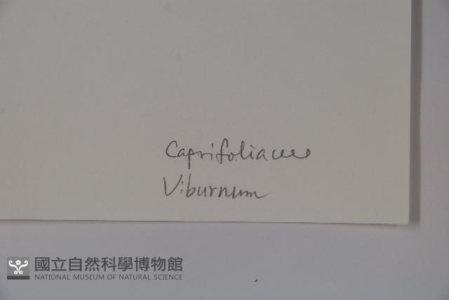 登錄號:S043609藏品圖，第2張