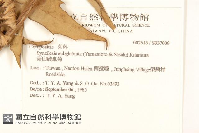 登錄號:S037009藏品圖，第2張