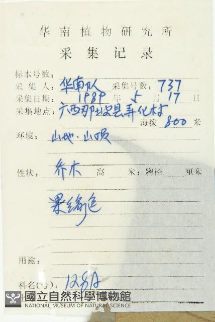 毛猴歡喜藏品圖，第2張