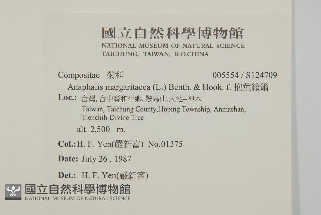 抱莖籟簫藏品圖，第2張