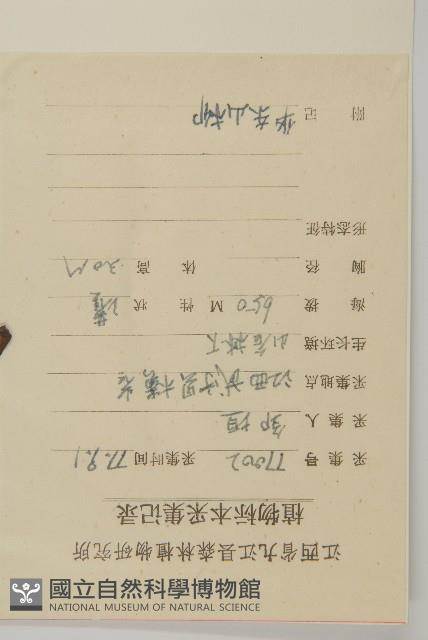 華東山柳藏品圖，第2張