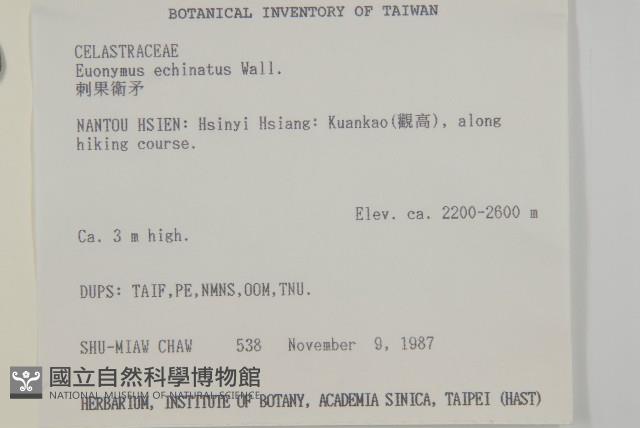刺果衛矛藏品圖，第2張