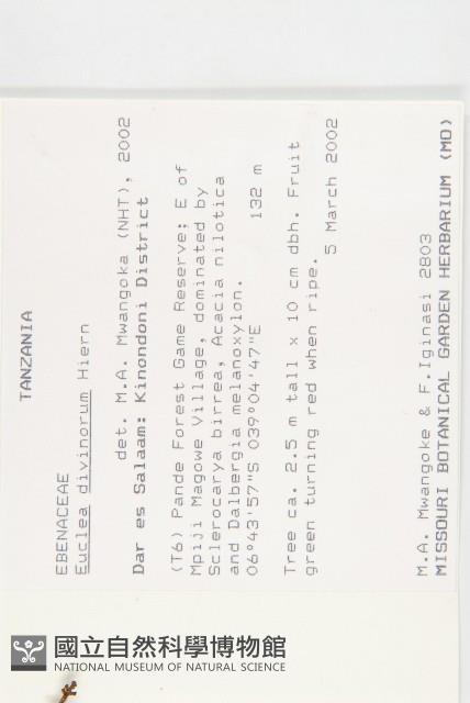 登錄號:S096209藏品圖，第2張