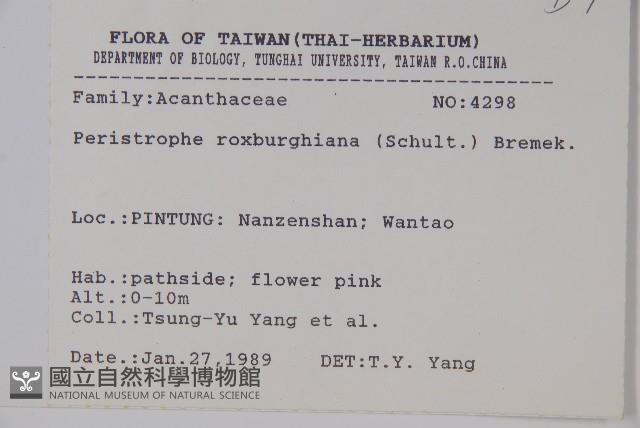 長花九頭獅子草、山藍藏品圖，第2張