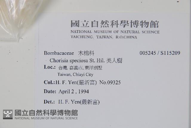 美人樹藏品圖，第2張