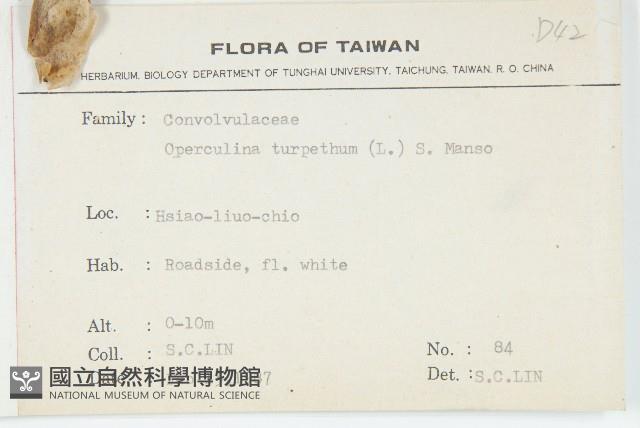 盒果藤藏品圖，第2張