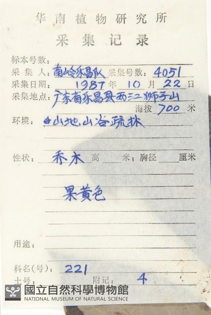 黑棗、君遷子藏品圖，第2張