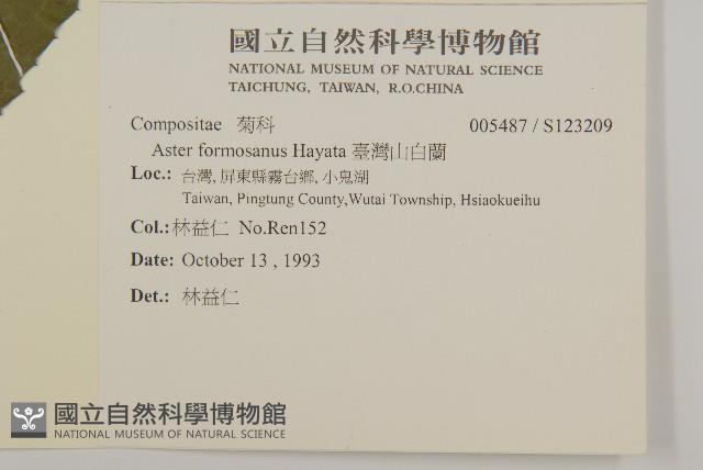 臺灣山白蘭藏品圖，第2張