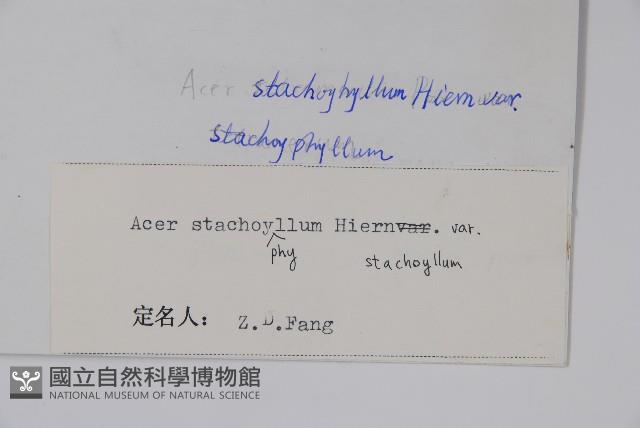 Accession Number:S023209 Collection Image, Figure 2, Total 2 Figures