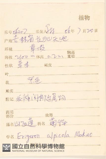 山白蓬藏品圖，第2張