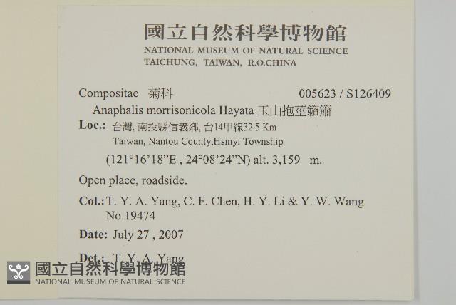 玉山抱莖籟簫藏品圖，第2張