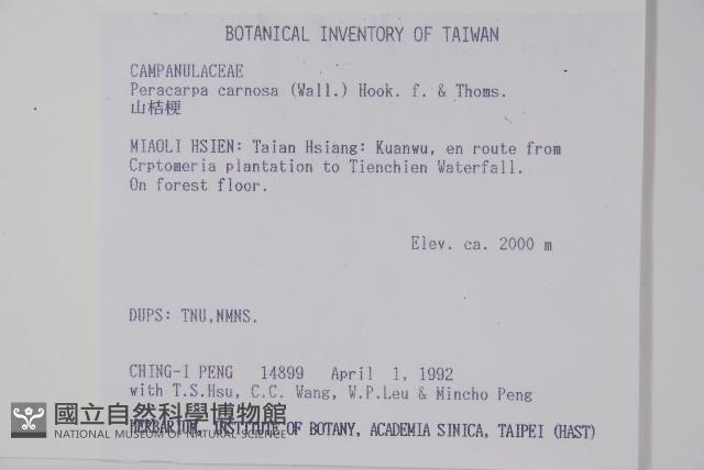 山桔梗藏品圖，第2張