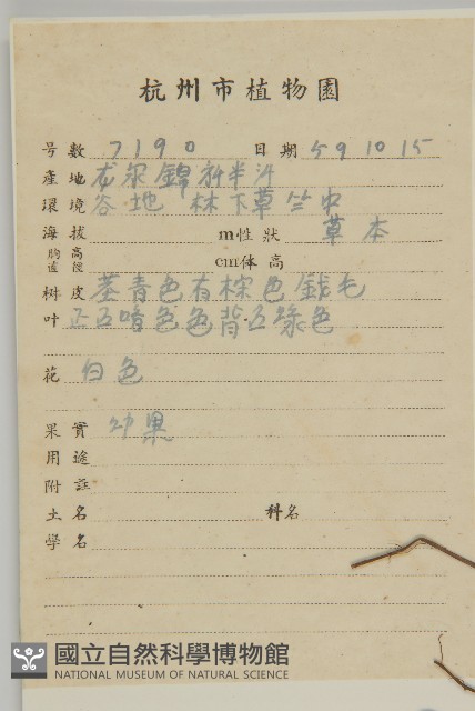 阿里山鬼督郵藏品圖，第2張