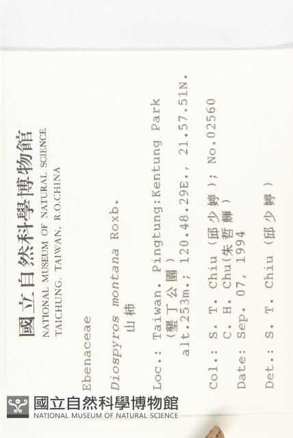 山柿樹藏品圖，第2張