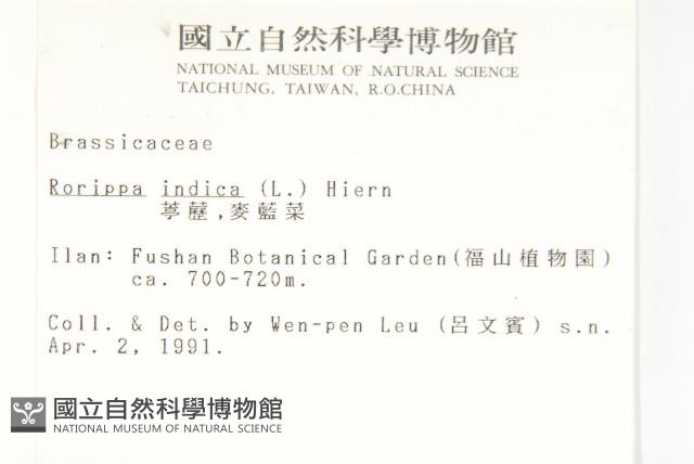 Accession Number:S003309 Collection Image, Figure 2, Total 2 Figures