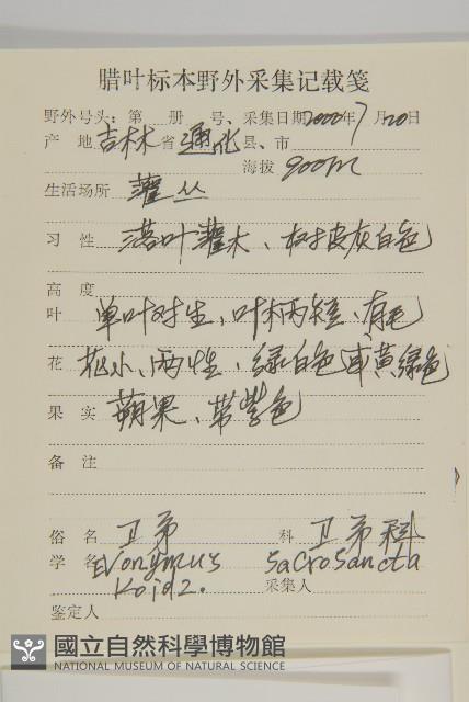 衛矛藏品圖，第2張