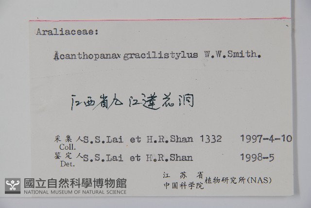 五加藏品圖，第2張
