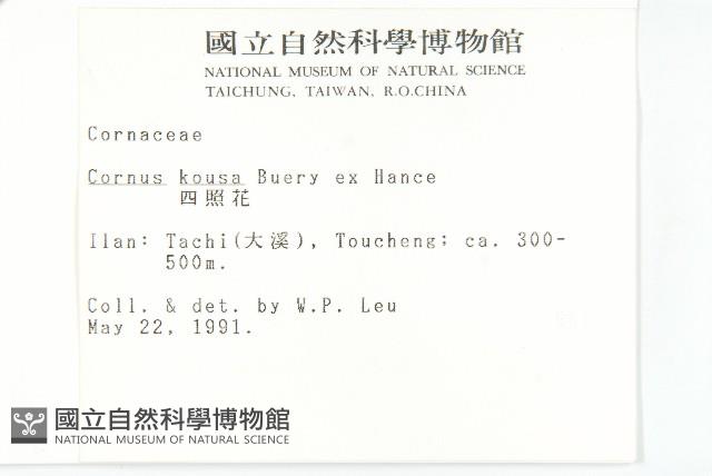 四照花藏品圖，第2張