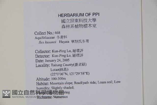 草野氏冬青藏品圖，第2張