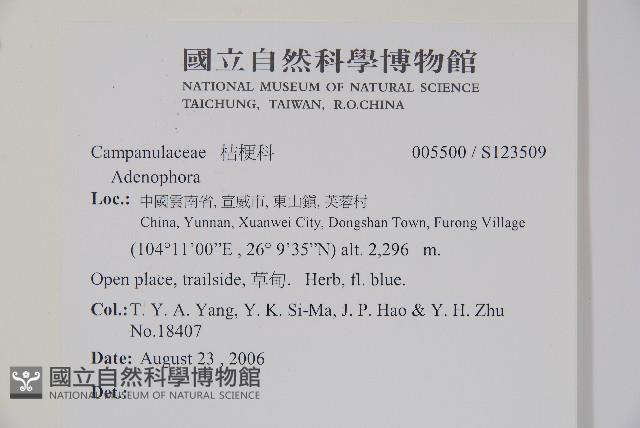 登錄號:S123509藏品圖，第2張