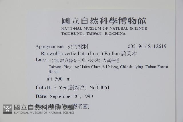 蘿芙木藏品圖，第2張
