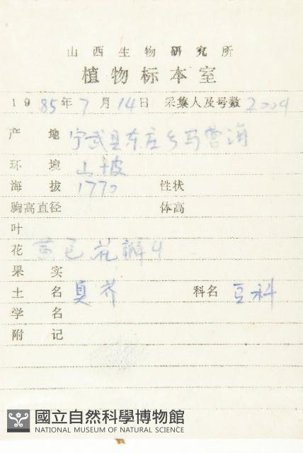 芝麻菜藏品圖，第2張