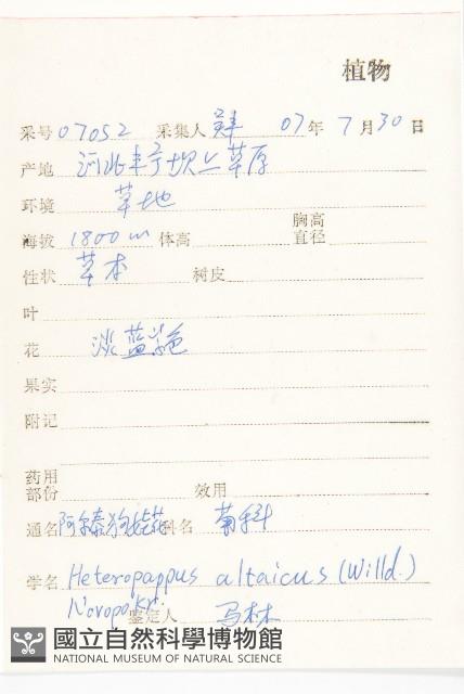 阿爾泰狗哇花藏品圖，第2張