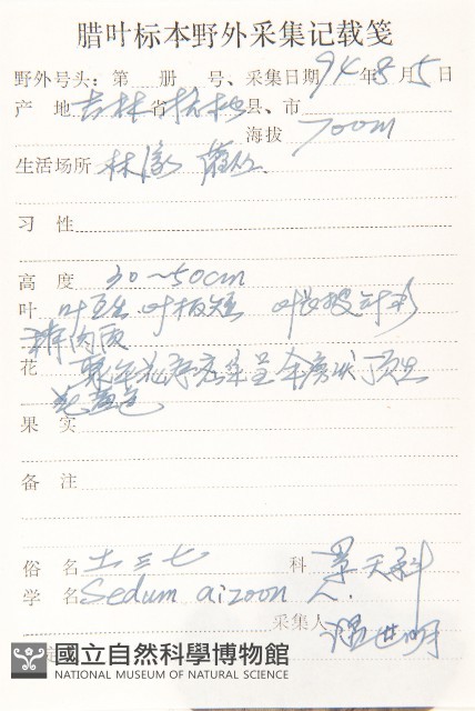 費菜藏品圖，第2張