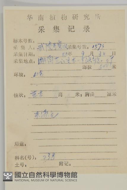 魁蒿藏品圖，第2張