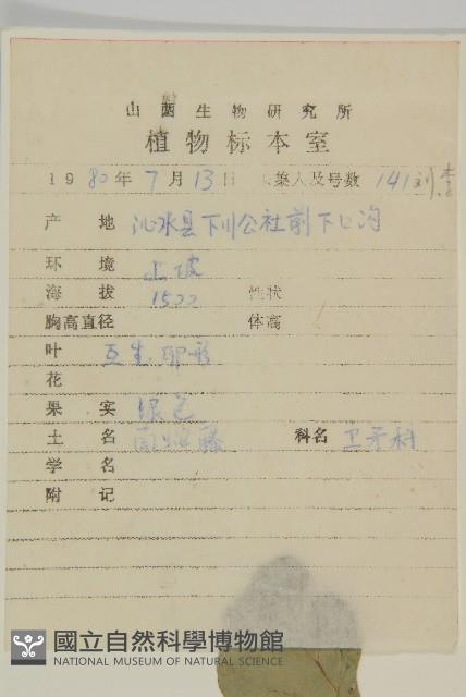 哥蘭葉藏品圖，第2張