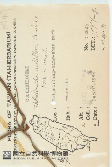 青牛膽藏品圖，第2張