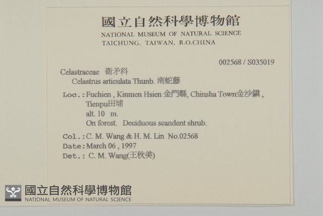 南蛇藤藏品圖，第2張