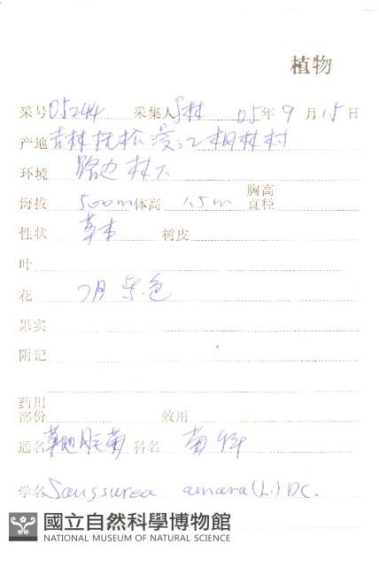 草地風毛菊藏品圖，第2張