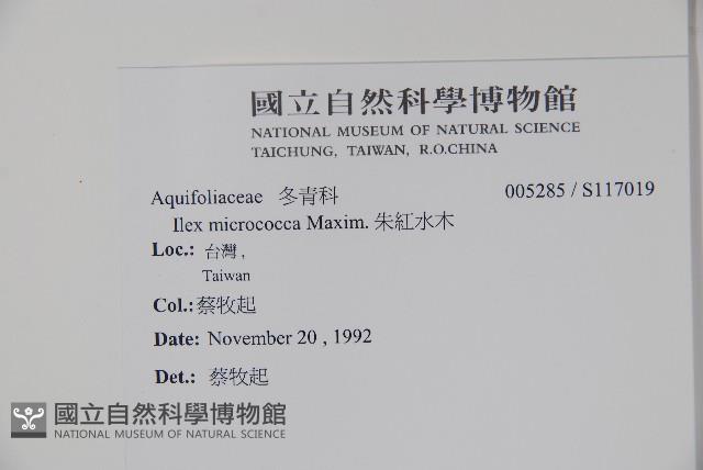 朱紅水木藏品圖，第2張