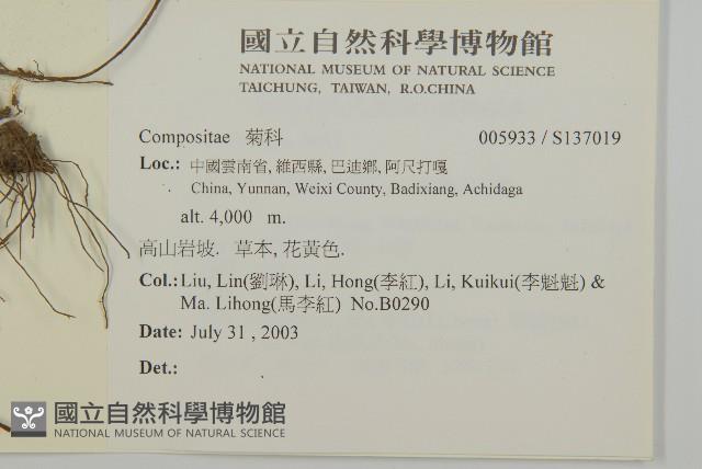 登錄號:S137019藏品圖，第2張