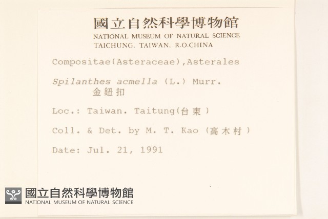 金鈕扣、鐵拳頭藏品圖，第2張