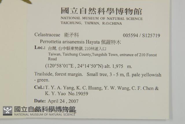 佩羅特木藏品圖，第2張