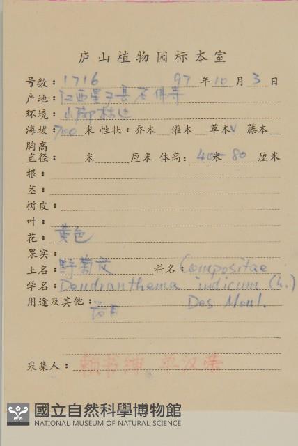 油菊、野菊藏品圖，第2張