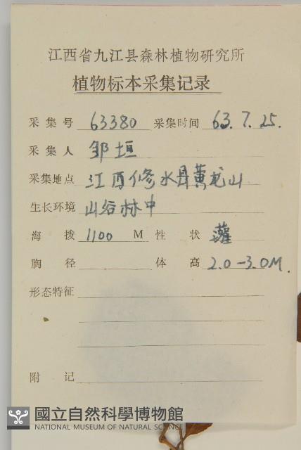 西南衛矛藏品圖，第2張