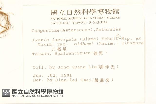 刀傷草藏品圖，第2張