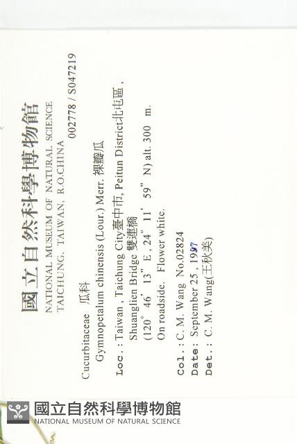 裸瓣瓜藏品圖，第2張