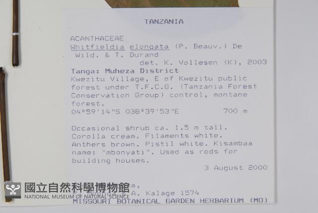 白燭蘆莉藏品圖，第2張