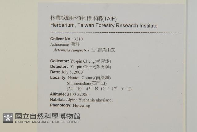 高山艾藏品圖，第2張