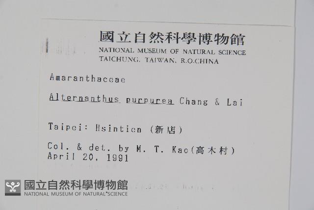 登錄號:S002419藏品圖，第2張