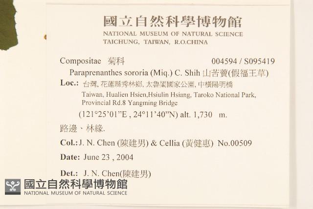 山苦藚、假福王草藏品圖，第2張