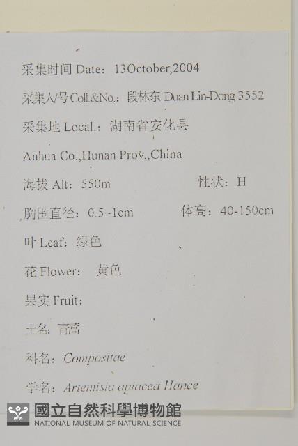 青蒿藏品圖，第2張