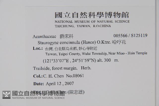 哈哼花藏品圖，第2張