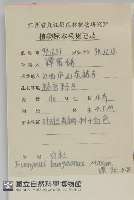 白杜藏品圖，第2張